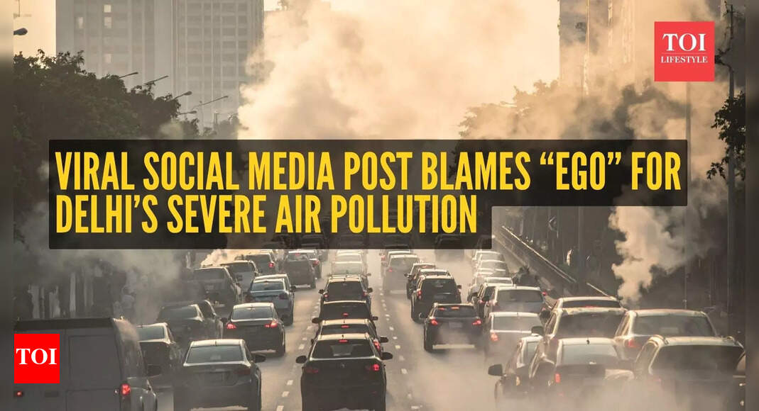 Viral social media post blames “ego” for Delhi’s severe air pollution and AQI crisis; says “everyone wants to...”