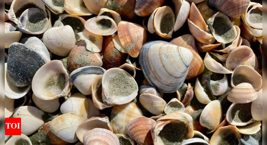 A 480-million-year-old fossil changes what we know about the origin of parasites