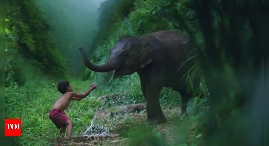 'Kumki 2' trailer: Prabhu Solomon's directorial unveils a powerful tale of friendship between a man and an elephant