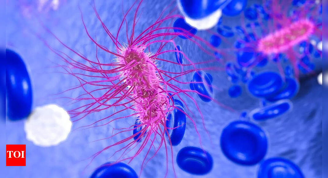 E. coli spreads as fast as swine flu: What this means for hygiene and public health