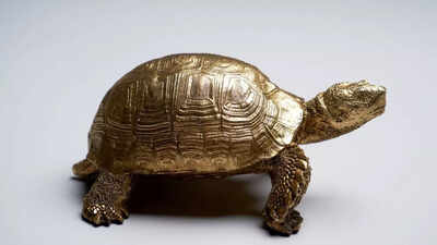 Which is the right direction to keep a feng shui tortoise and why it is kept in homes