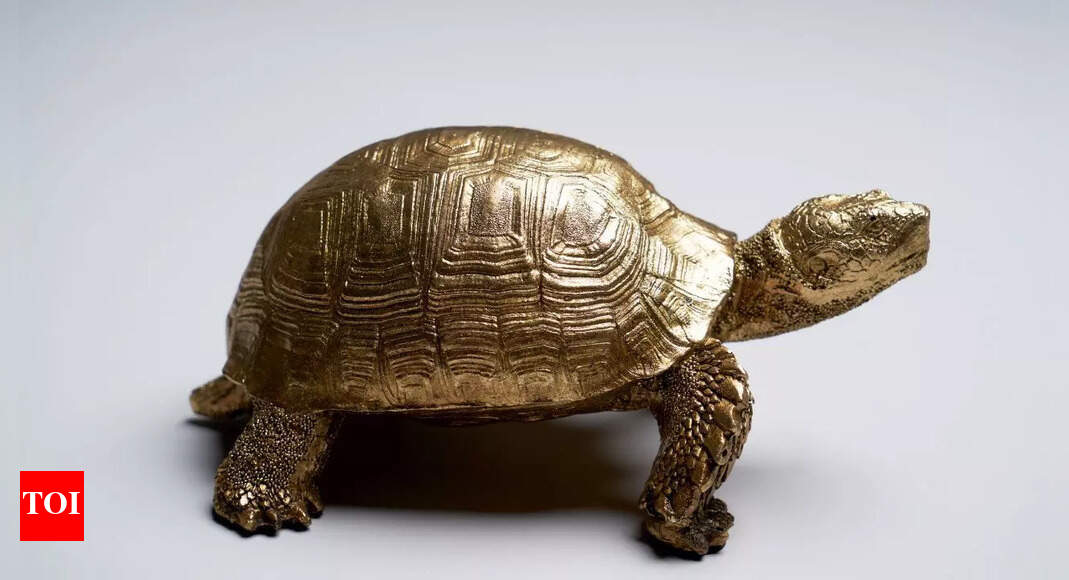 Which is the right direction to keep a feng shui tortoise and why it is kept in homes