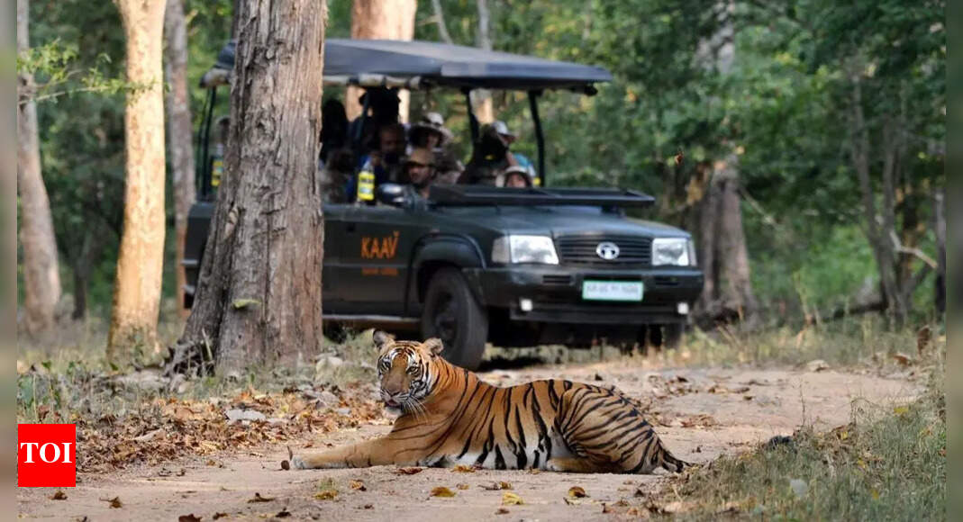 Karnataka suspends safari at Bandipur Nagarhole Reserves, bans trekking after 3 fatal tiger attacks