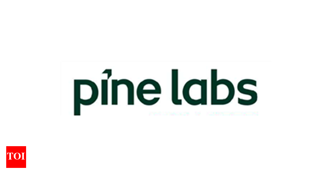 Pine Labs IPO: GMP hovers around 5%; should you hit buy button or give it a miss? What analysts say