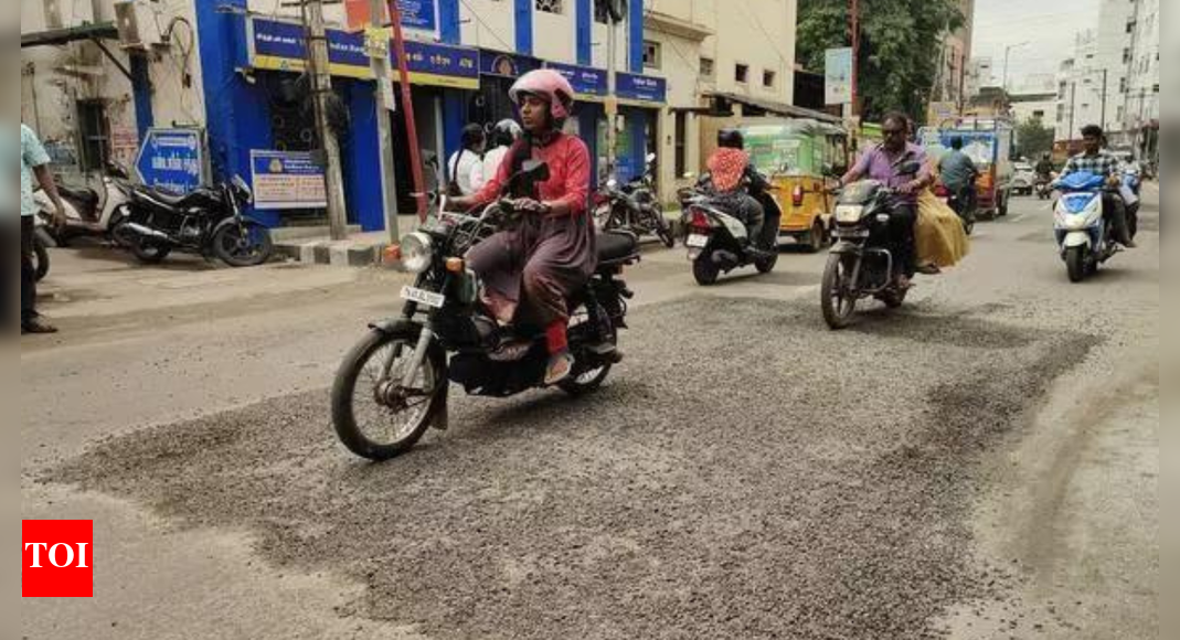 Design NH service roads on par with quality of main highways: Road ministry to agencies