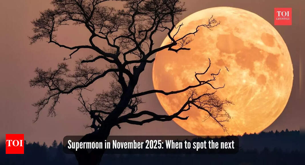 Supermoon lit up the November sky: Was it actually bigger on this day, and when can you spot the next one?