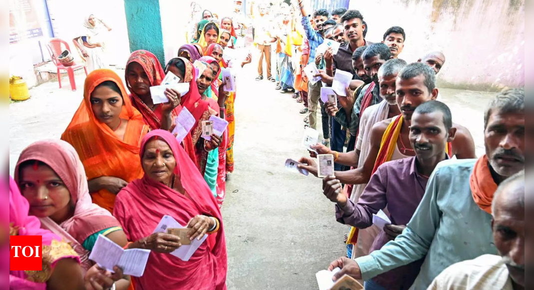 Bihar polls: Record voter turnout triggers guessing game — will it help or hurt Nitish Kumar?