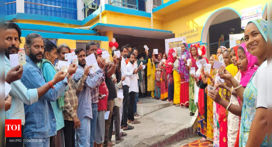 High voter turnout in Bihar elections signals change in regime: Congress leader