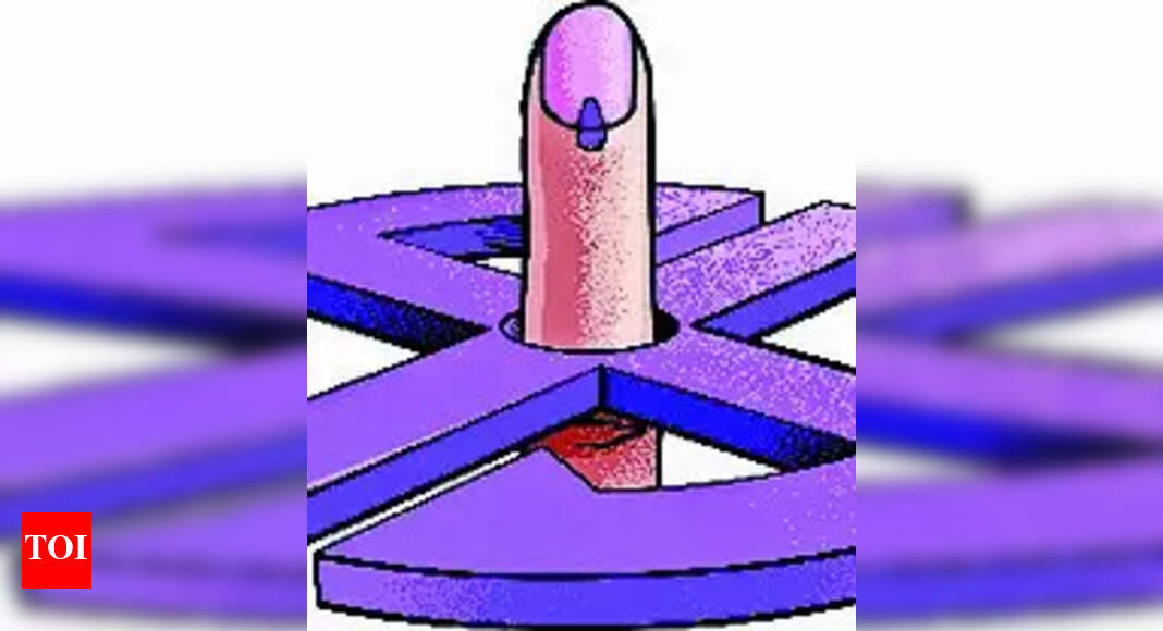 Goa: Women, ST and OBC to contest more seats as ZP map reshaped