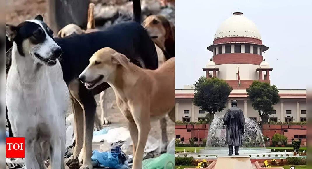 ‘Implementing SC order on strays to be a challenge’