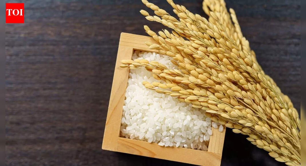 What is the most expensive rice and what makes it so special | - The ...