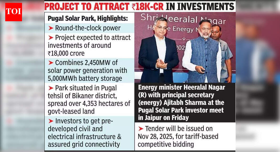 Raj launches largest solar parkwith battery storage in Bikaner | Jaipur ...