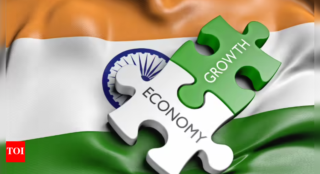 'Indian economy more resilient and inclusive'