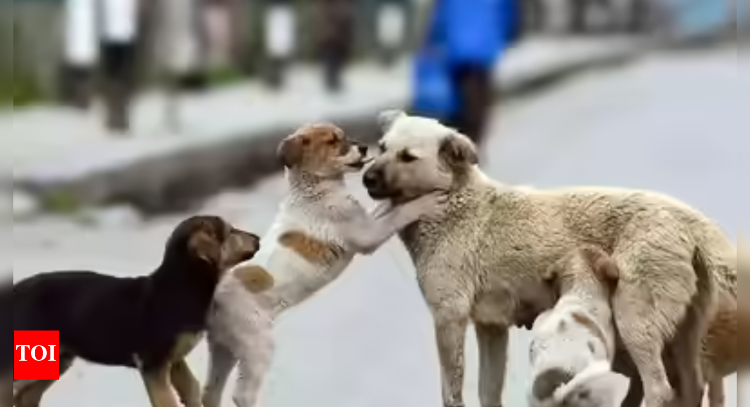 MCD: Institution heads must first prevent entry