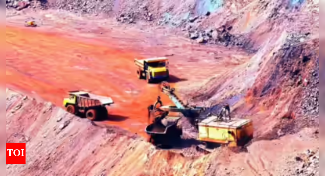 China suspends rare earth export controls for a year