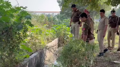  Severed head, limbs of woman’s body found in Sector 82 drain; cops scan over 500 CCTVs for clues