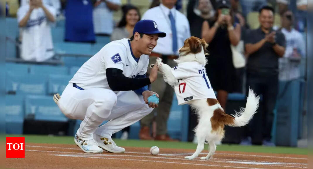 2X World Series champion Shohei Ohtani shares beautiful moment with his dog in a recent IG pic