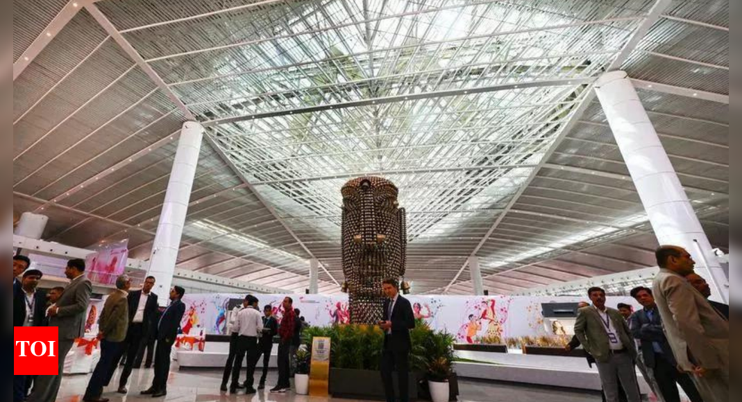 Missed flight, cleared no gate: How British national slipped past Delhi immigration; hunt on