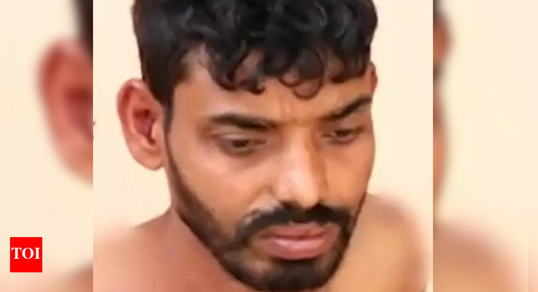 Bengaluru: 33-year-old mauled by 20 stray dogs in Kodigehalli; officials criticised for inaction