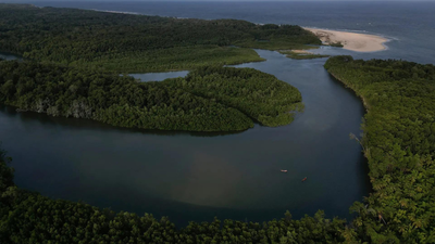 Making forest protection more lucrative than destruction