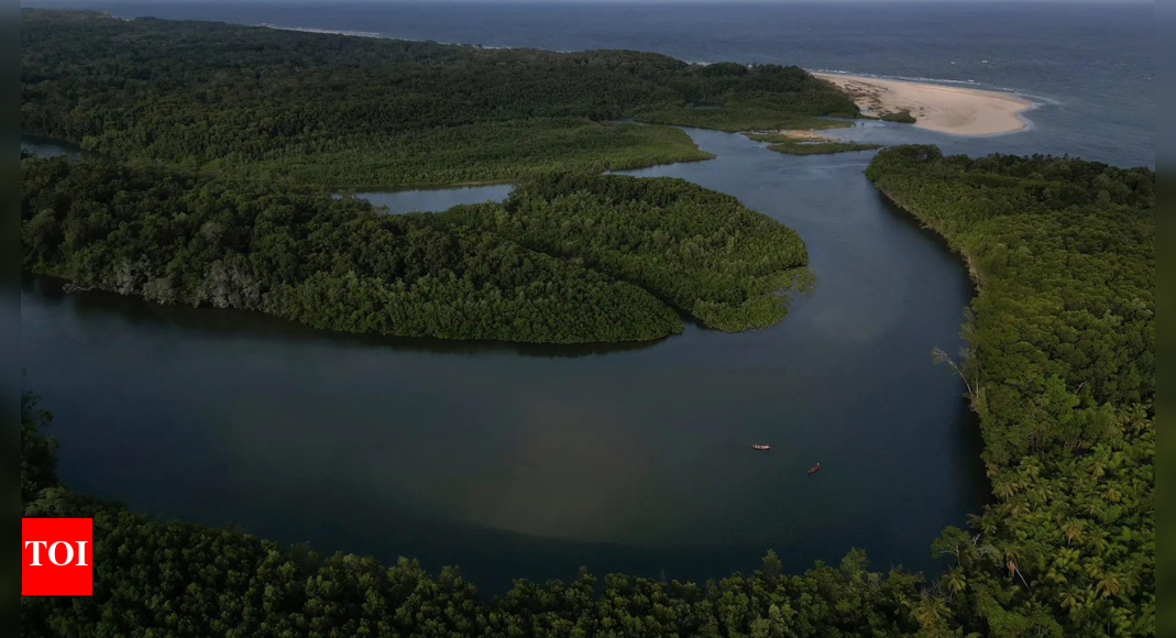 Making forest protection more lucrative than destruction