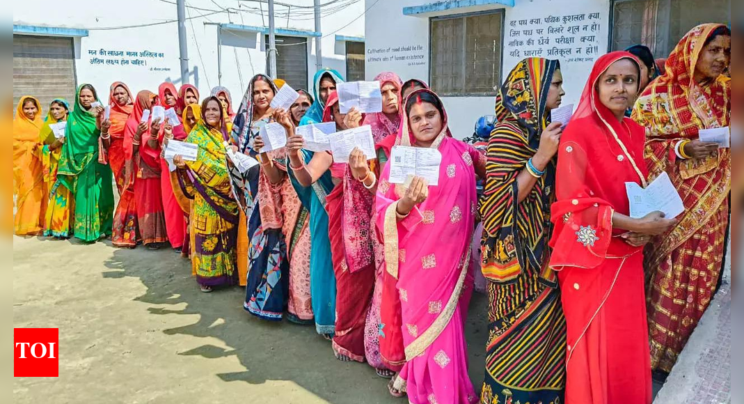 <div>Bihar elections: 65.08% voter turnout in first phase; EC says 'highest in state's history'</div>