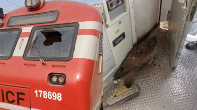 Jammu & Kashmir: Train halted at Anantnag station after eagle hits front mirror; loco pilot injured