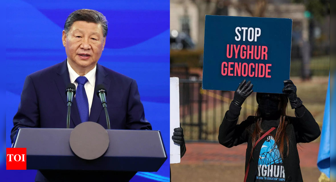 Is China threatening global academic freedom? UK university halts study on Uyghur repression; Beijing blamed