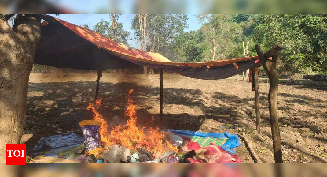 Police seize 3 kg poppy seeds in Palamu forest to prevent illegal cultivation