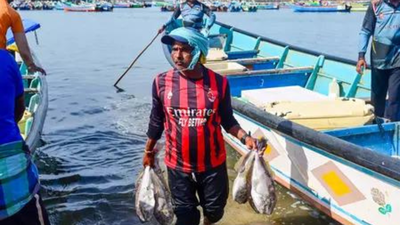 Marine reform: Centre notifies new deep-sea fishing rules; bans foreign vessels, empowers cooperatives - what changes for Indian fishers?