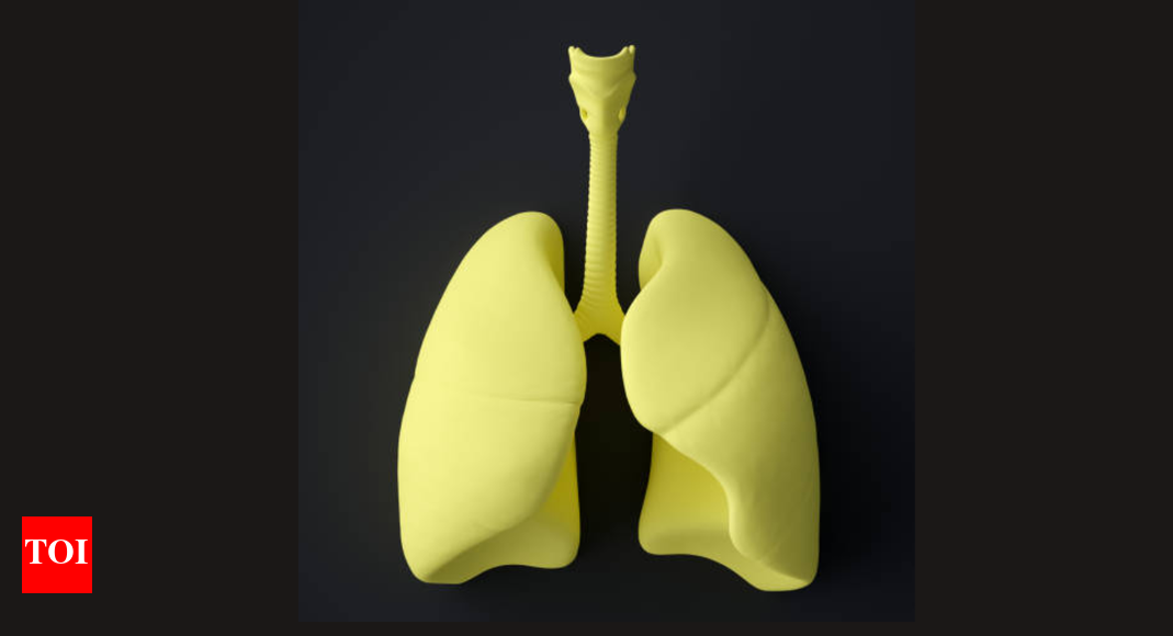 Bengaluru Doctors Use AI to Navigate Lung, Save 71-Year-Old Patient's Life