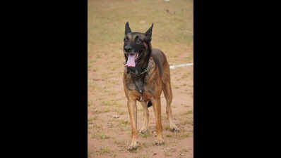 Rana adds more teeth to city police’s anti-drug drive