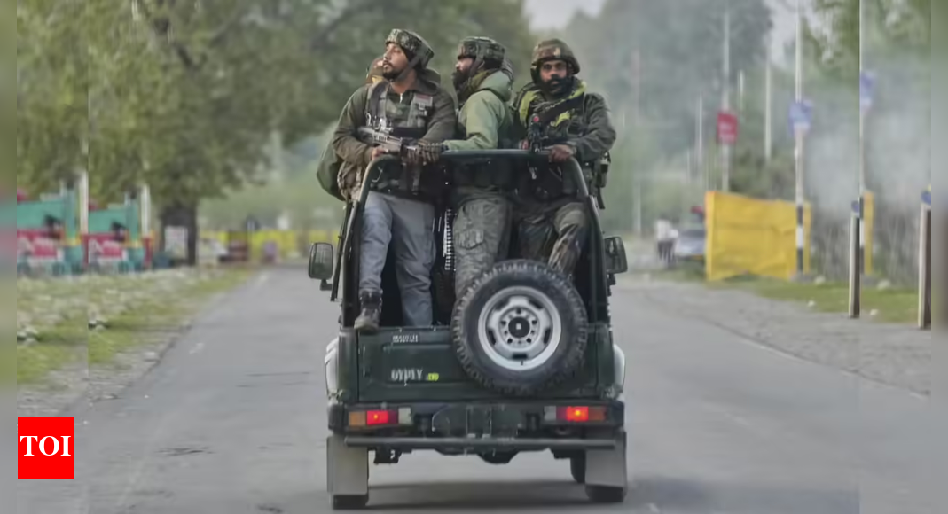 <div>Army kills 2 on LoC amid J&K police crackdown on terrorist support systems</div>