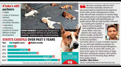 After Supreme Court directive, officials look to frame plan to handle stray dogs in Bengaluru