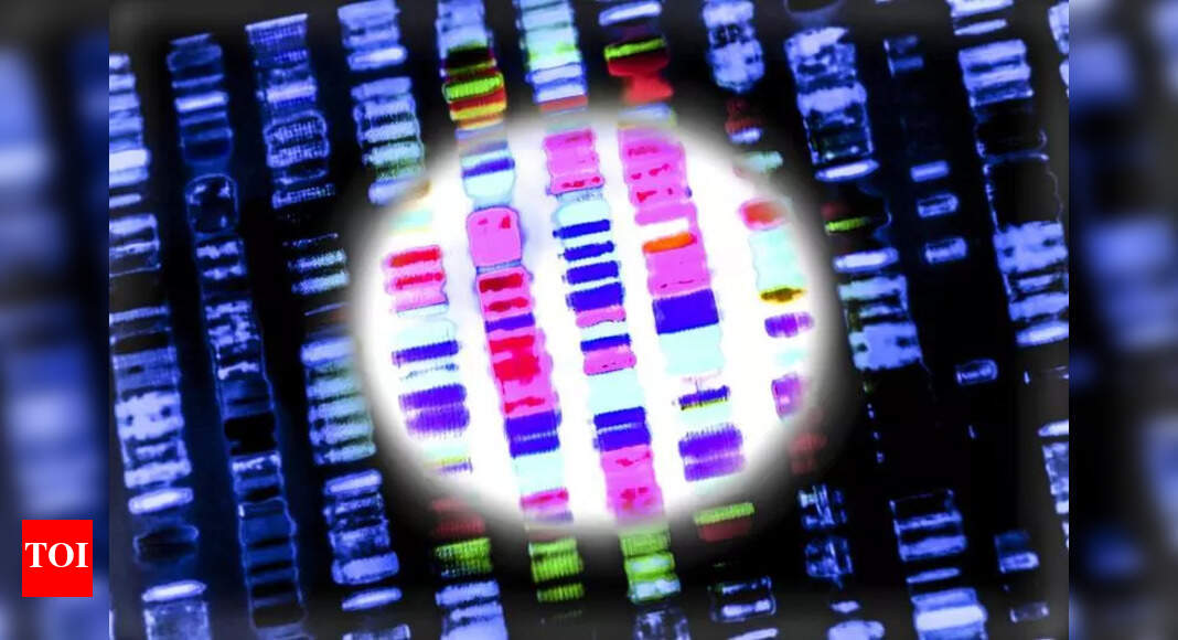 Cheaper genetic testing panels developed to help tribal health screening in Gujarat