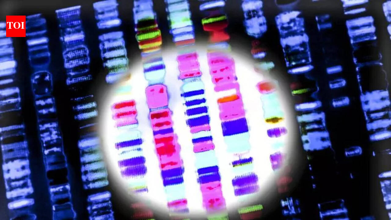 Cheaper genetic testing panels developed to help tribal health ...