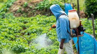  Pesticides in food may be contributing to shrinking sperm counts