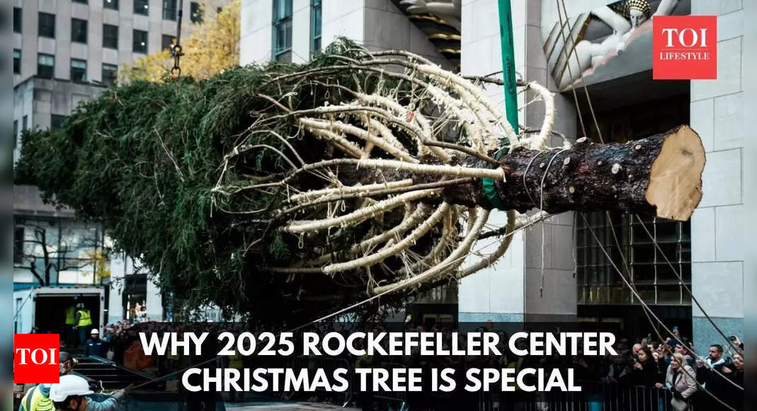Rockefeller Christmas tree has arrived in NYC and the story behind it will melt your heart