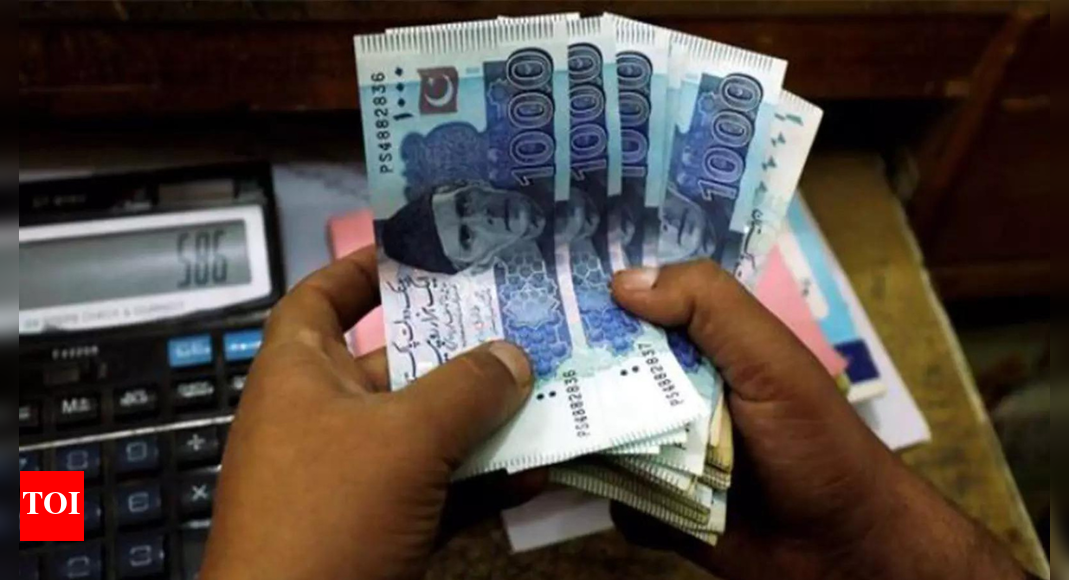 Pakistan’s manufacturing sector slump: Private investment plunges 46%; experts warn of long-term industrial decay – The Times of India