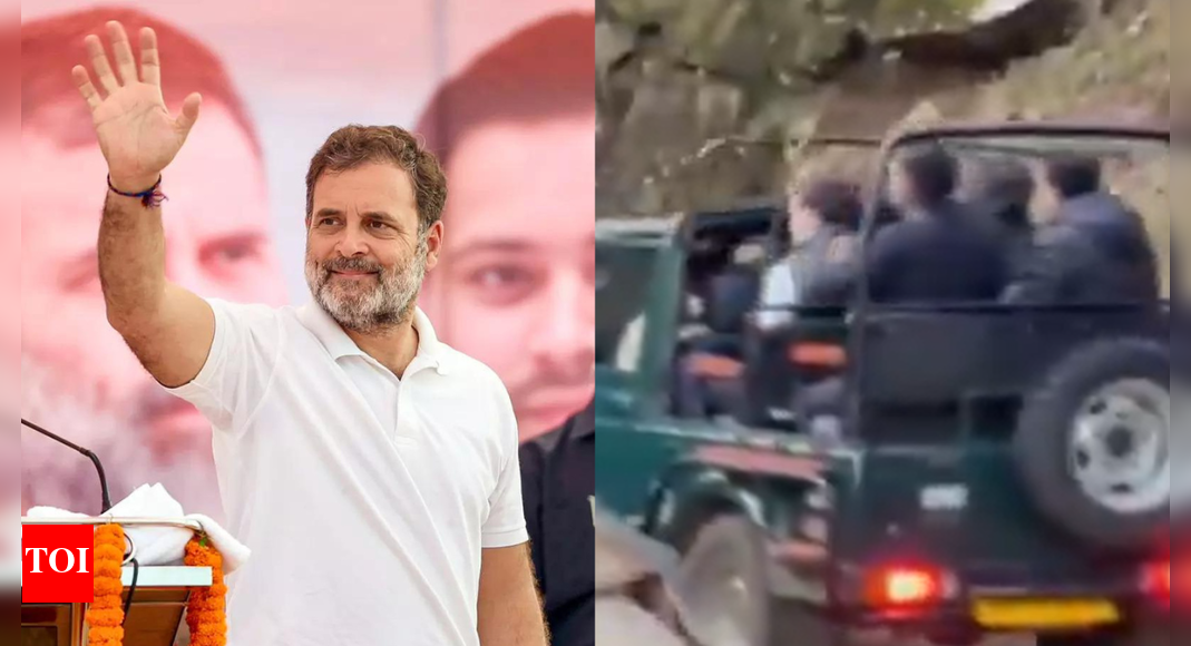 'LoP means Leader of Partying': BJP takes jibe at Rahul Gandhi; critiques Congress' priorities amid Bihar polls