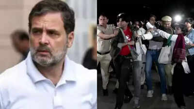 'Treated like criminals': Rahul Gandhi slams government for detaining protesters in Delhi, says citizens have right to clean air