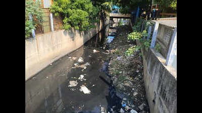 Residents call out GCC for letting toxic waste clog Kodungaiyur canal – Times of India