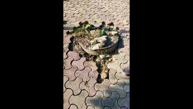Watch out: Not properly covered, manholes are a gaping risk in Sector ...