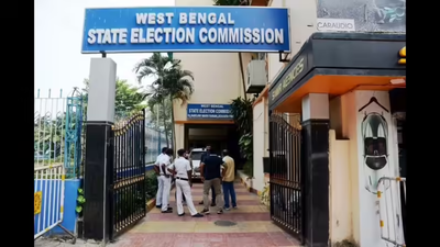 Woman tries to kill daughter & self, kin link it to Bengal SIR