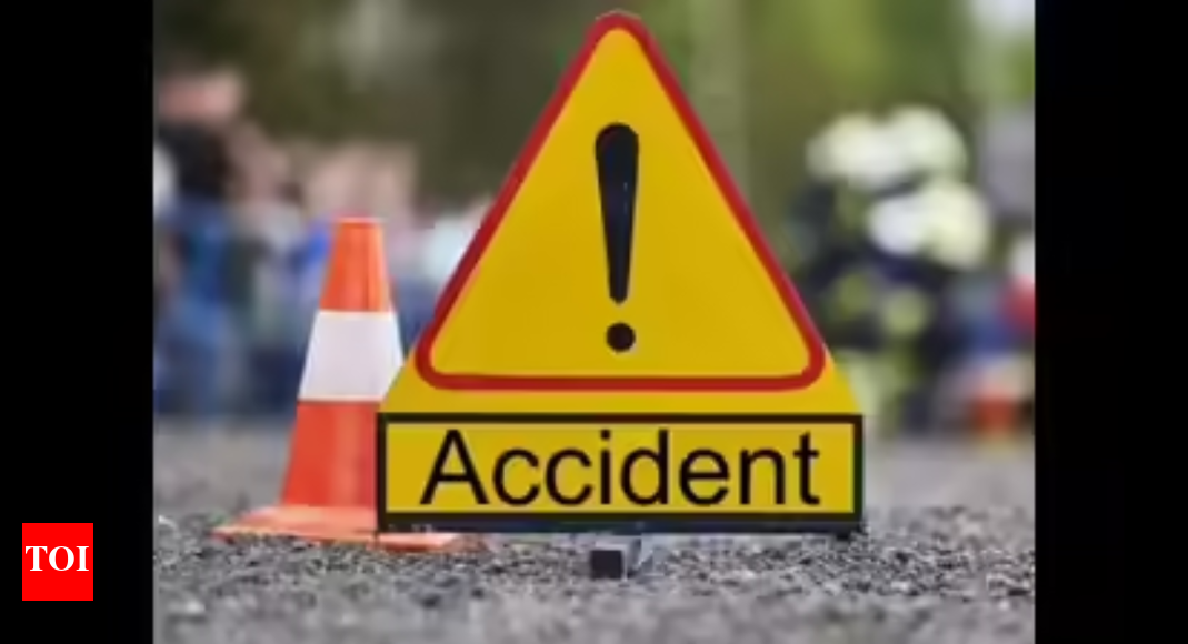 3 dead in crash as driver loses control trying to save wild boar