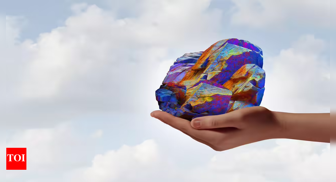 India hopes China moves to fulfil rare earth promise