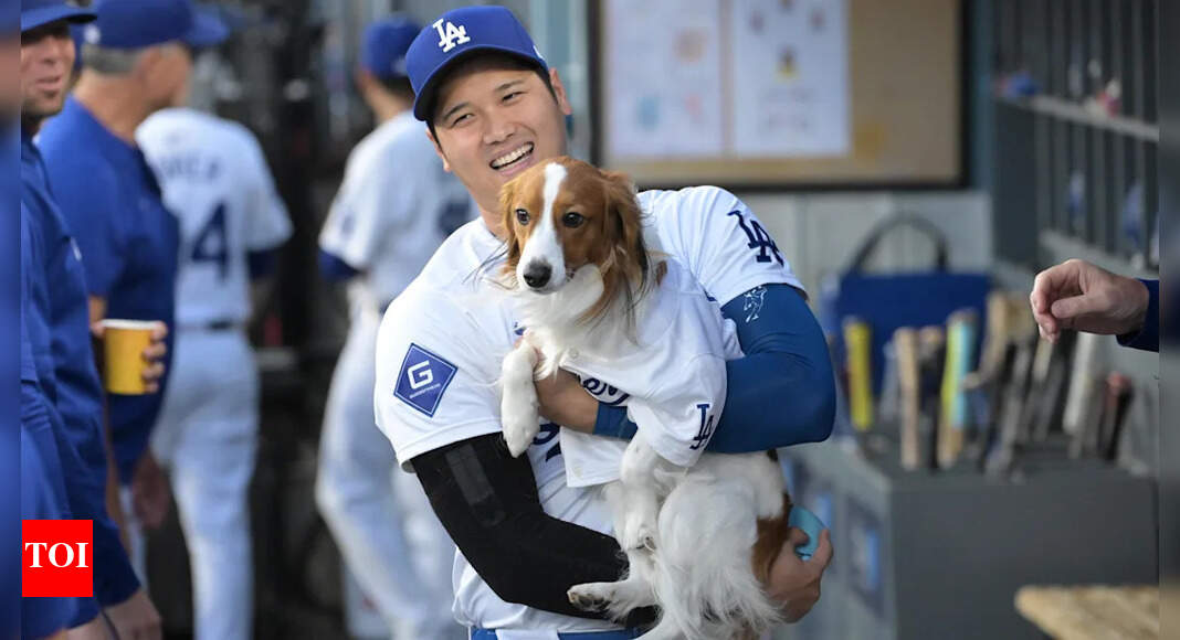 Fans can't stop talking about Shohei Ohtani's heartfelt Dodger Stadium moment with his dog