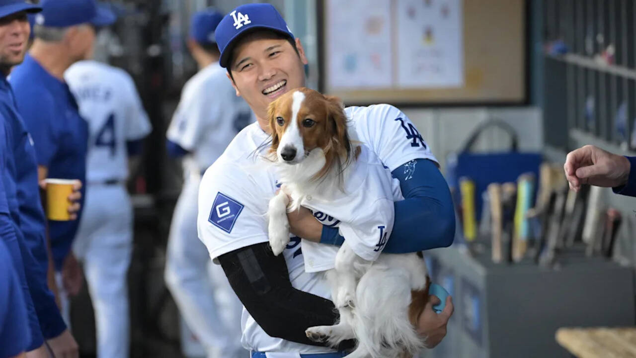 Fans can't stop talking about Shohei Ohtani's heartfelt Dodger Stadium  moment with his dog | MLB News - The Times of India