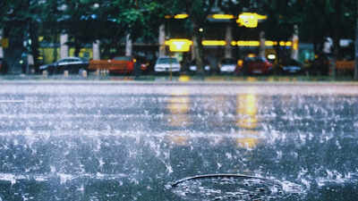 IMD forecasts heavy rainfall in these parts of Tamil Nadu, cold wave to grip central and eastern India