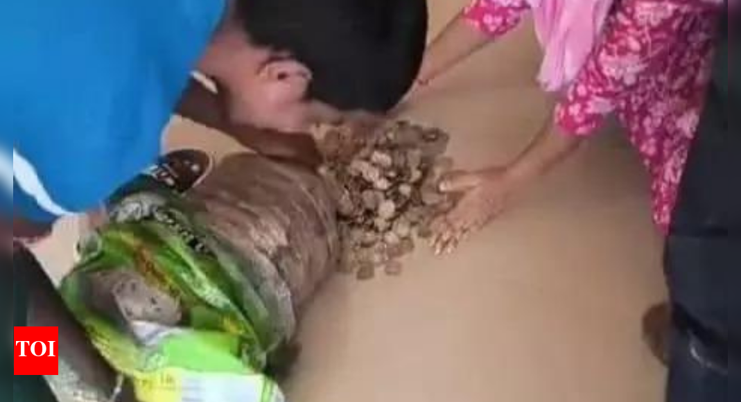 ‘No loan, no EMI’: Coin by coin, chaiwallah saves enough for daughter's dream ride